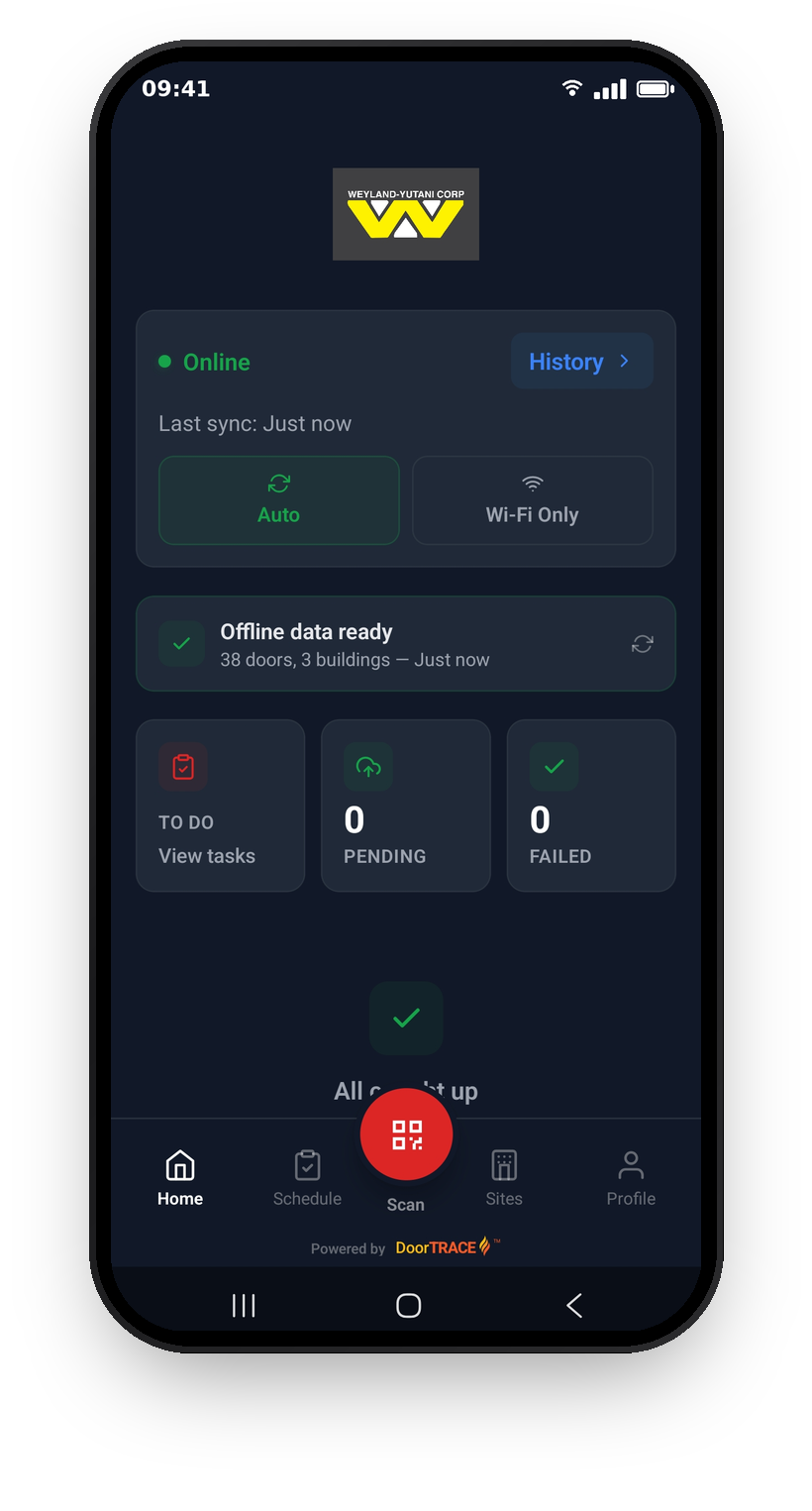 The offline data card on the Home screen