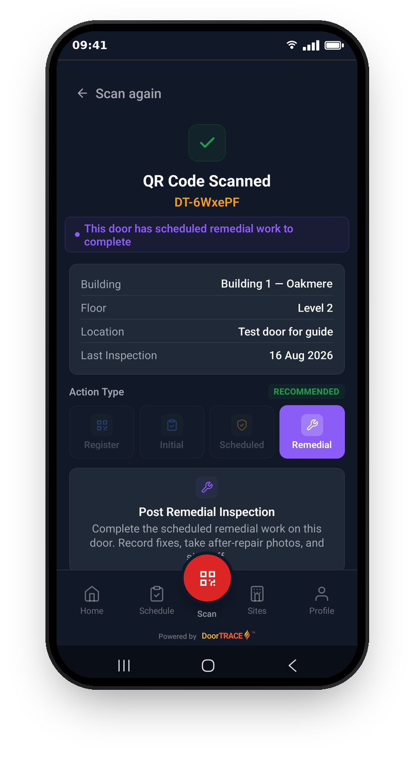 The scan confirmation screen with Remedial selected